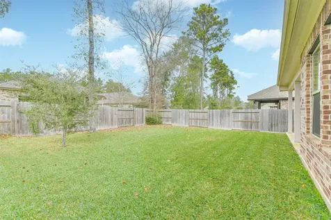 135 Winged Elm Court Willis TX 77318
