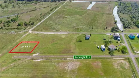 Lot 1-2 Mockingbird Lane Anahuac TX 77514