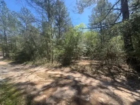 16442 Whippoorwill Road Navasota TX 77868