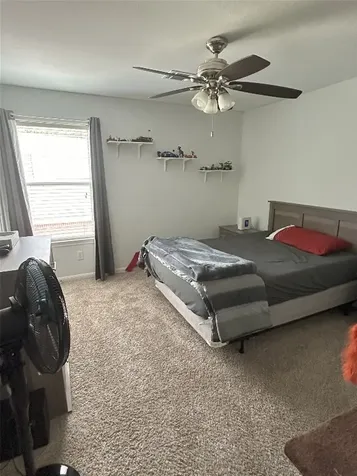28719 Leon River Court Spring TX 77386