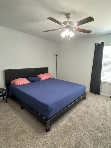 28719 Leon River Court Spring TX 77386