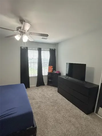 28719 Leon River Court Spring TX 77386