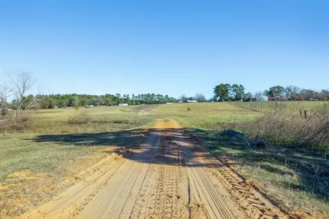 10802 County Road 203 Plantersville TX 77363