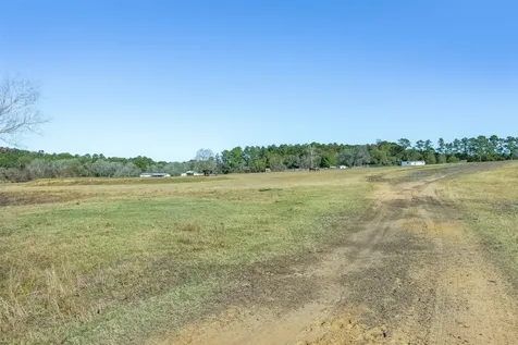 10802 County Road 203 Plantersville TX 77363