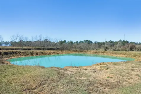 10802 County Road 203 Plantersville TX 77363