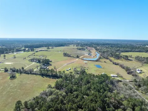 10802 County Road 203 Plantersville TX 77363
