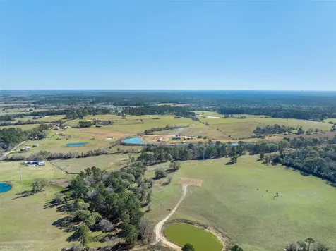 10802 County Road 203 Plantersville TX 77363