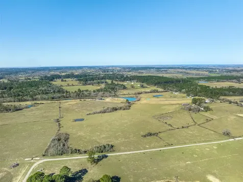 10802 County Road 203 Plantersville TX 77363
