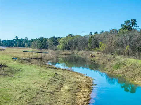 10802 County Road 203 Plantersville TX 77363