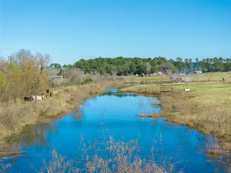 10802 County Road 203 Plantersville TX 77363