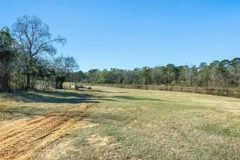 10802 County Road 203 Plantersville TX 77363