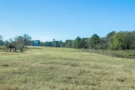10802 County Road 203 Plantersville TX 77363