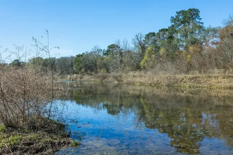 10802 County Road 203 Plantersville TX 77363