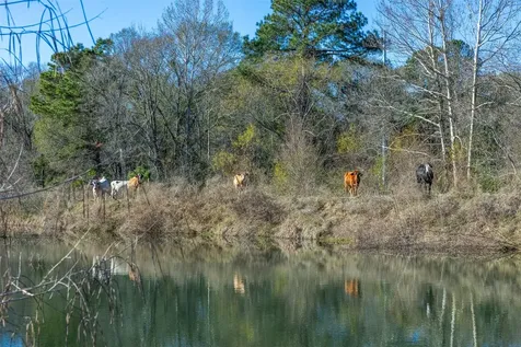 10802 County Road 203 Plantersville TX 77363