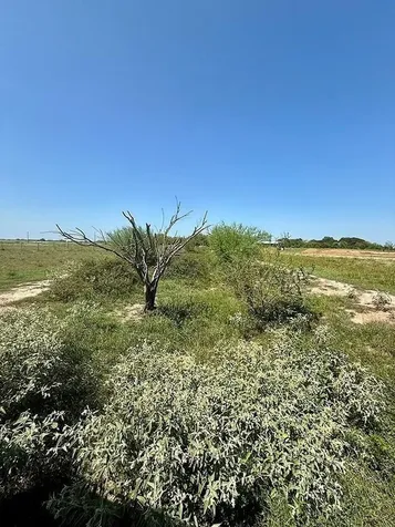 1993 Fm 2761 Cat Spring TX 78933