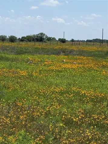 1993 Fm 2761 Cat Spring TX 78933