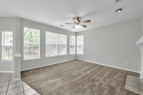 86 N Apple Springs Circle The Woodlands TX 77382