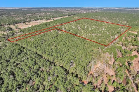 Tbd Cr 302 Plantersville TX 77363