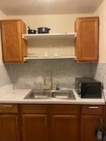 1828 Rosedale Street Houston TX 77004