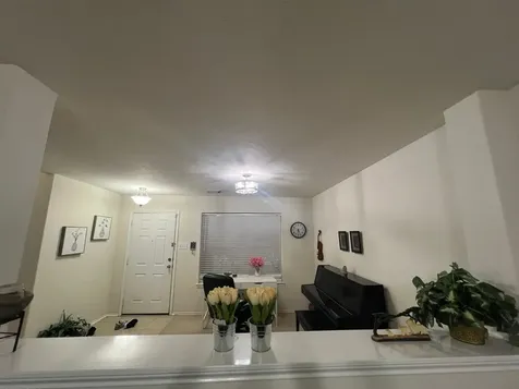 20810 Mossy Hill Lane Katy TX 77449
