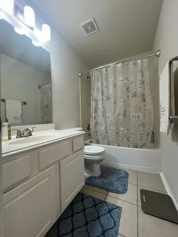 20810 Mossy Hill Lane Katy TX 77449