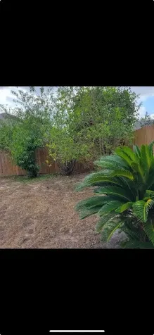 20810 Mossy Hill Lane Katy TX 77449