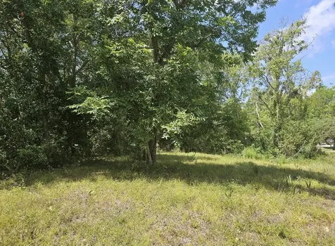 Tbd 0 County Road 825 West Columbia TX 77486