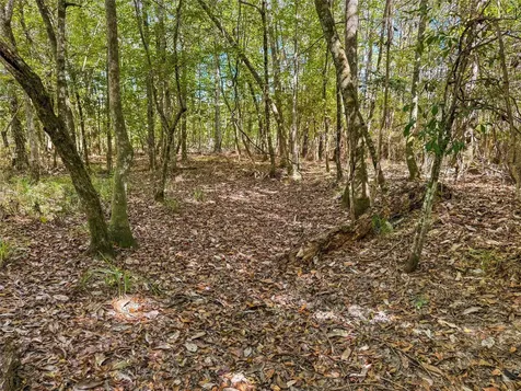 Tbd Highway 190 Newton TX 75966