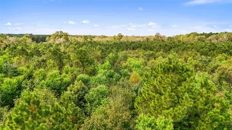 Tbd Highway 190 Newton TX 75966