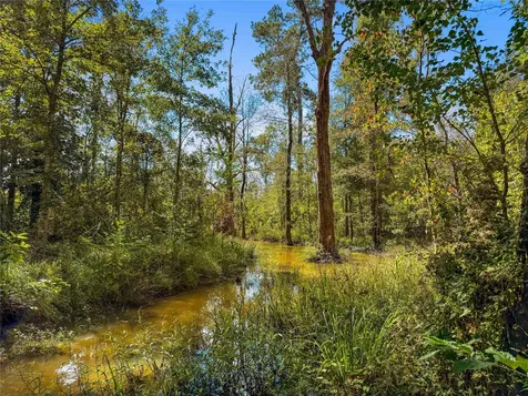 Tbd Highway 190 Newton TX 75966