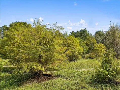 Tbd Highway 190 Newton TX 75966