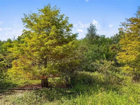 Tbd Highway 190 Newton TX 75966