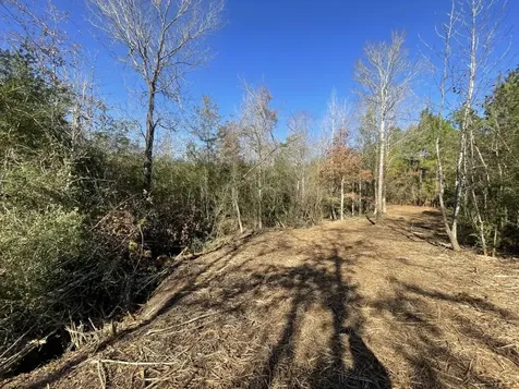 Lot 6 E Fm 942 Livingston TX 77351