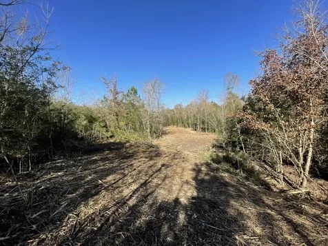 Lot 6 E Fm 942 Livingston TX 77351