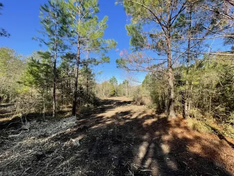 Lot 6 E Fm 942 Livingston TX 77351