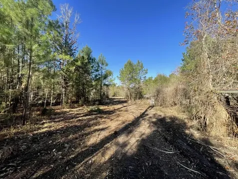 Lot 6 E Fm 942 Livingston TX 77351