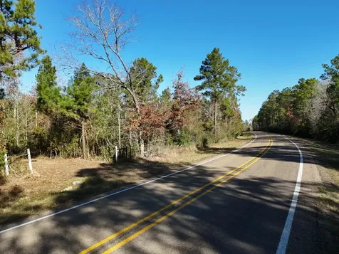 Lot 6 E Fm 942 Livingston TX 77351