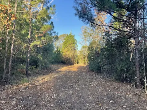 Lot 6 E Fm 942 Livingston TX 77351