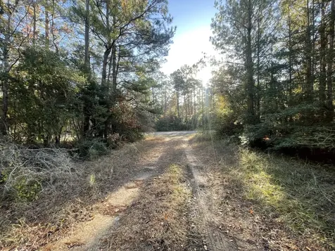 Lot 6 E Fm 942 Livingston TX 77351