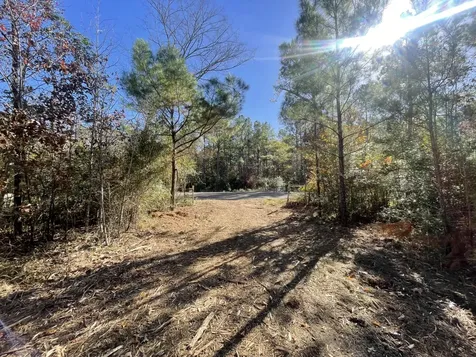 Lot 6 E Fm 942 Livingston TX 77351