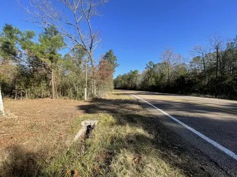 Lot 6 E Fm 942 Livingston TX 77351