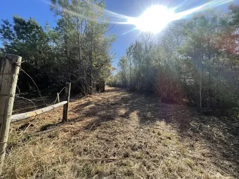 Lot 6 E Fm 942 Livingston TX 77351