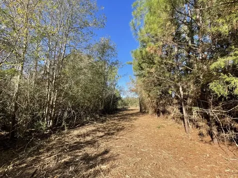 Lot 6 E Fm 942 Livingston TX 77351