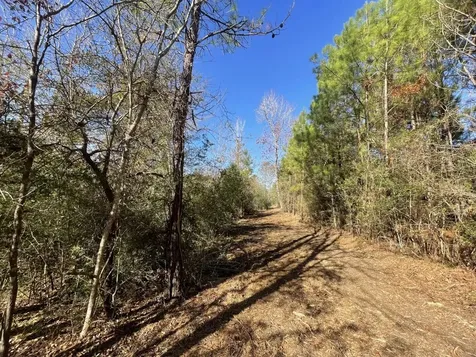 Lot 6 E Fm 942 Livingston TX 77351