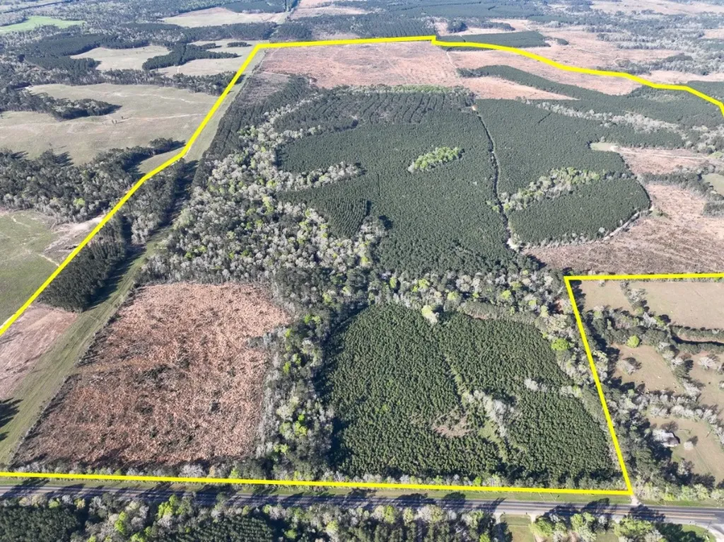 03 Highway 146 Livingston TX 77351