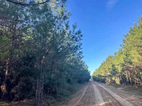 03 Highway 146 Livingston TX 77351