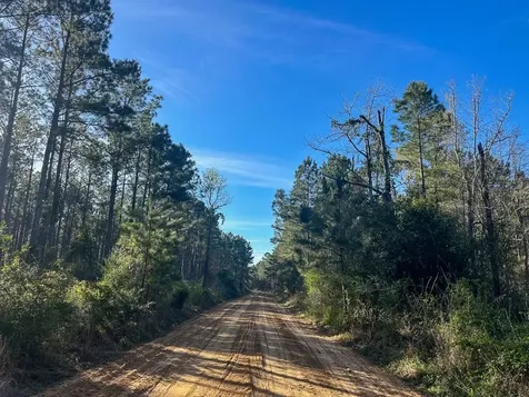 03 Highway 146 Livingston TX 77351