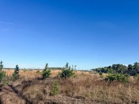 03 Highway 146 Livingston TX 77351