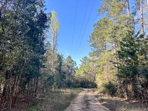 03 Highway 146 Livingston TX 77351