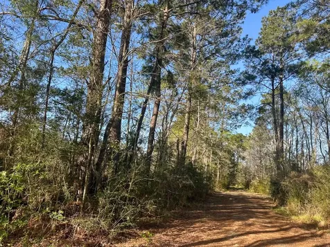 03 Highway 146 Livingston TX 77351